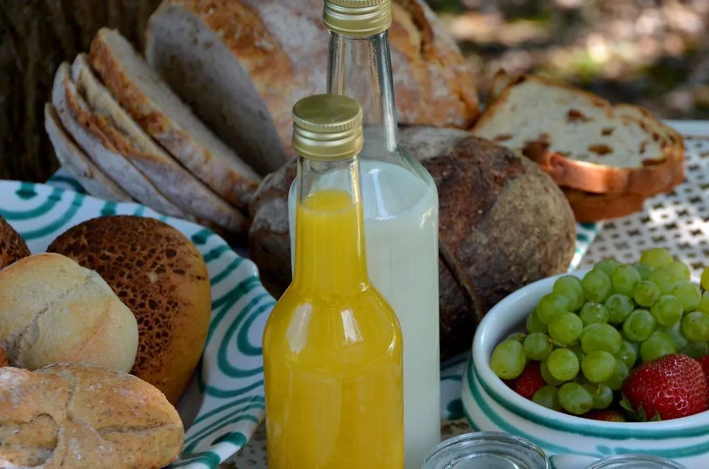B&B Gerlachus Valkenburg aan de Geul Bed & Breakfast